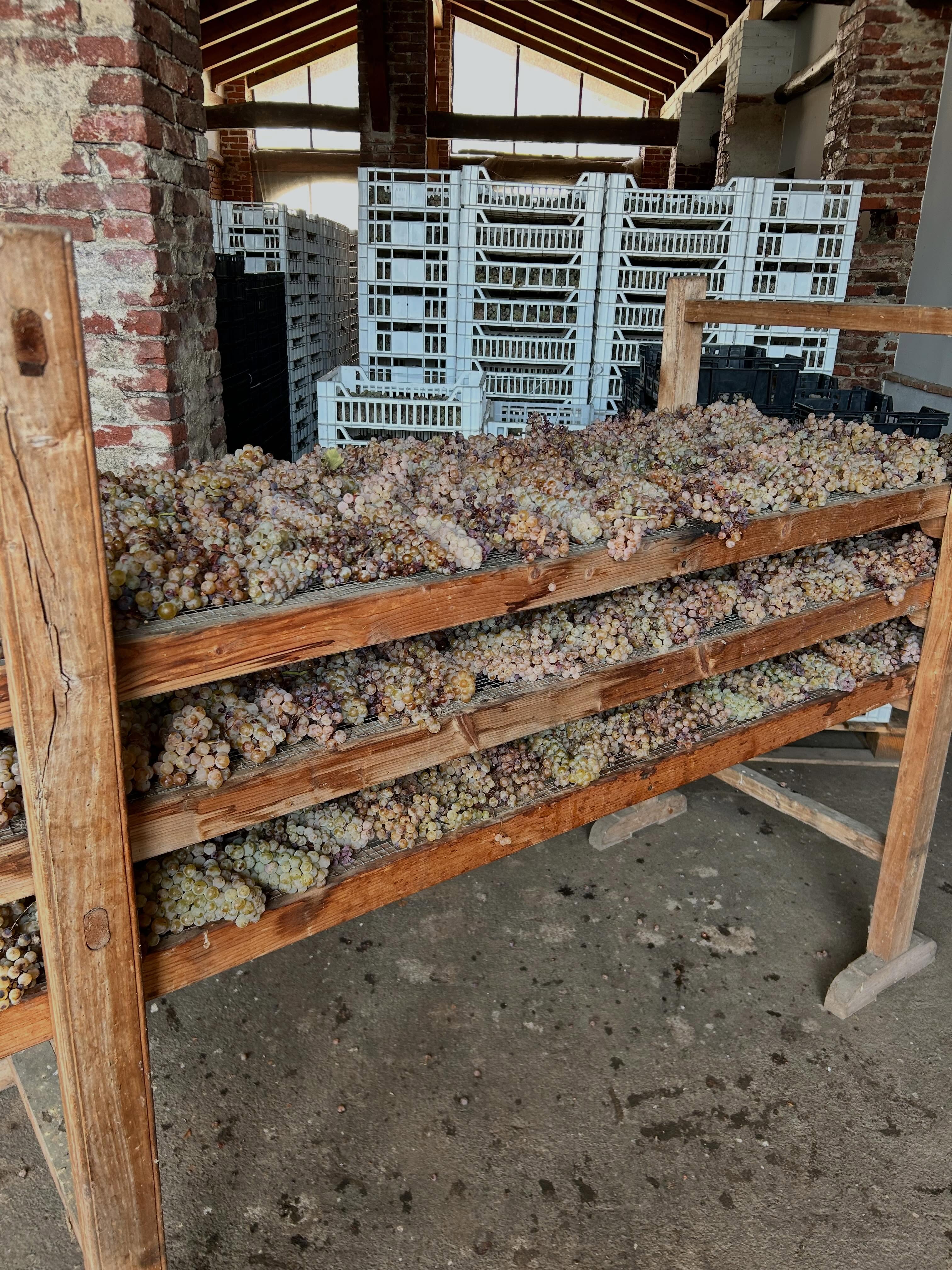 Con molto piacere condivido alcune foto della mia recente visita alla cantina Orsolani nel cuore…