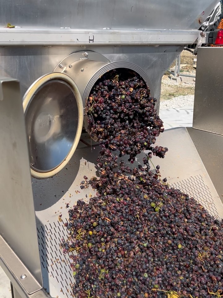 Settimana di visite ad alcune delle cantine della Romagna e delle Marche presenti in enoteca.…